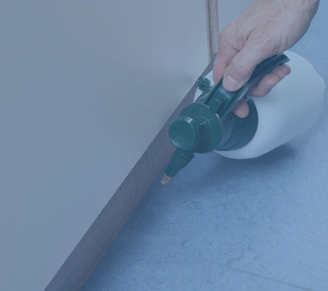 Spainy's Carpet & Pest Services - Gowrie Junction, QLD
