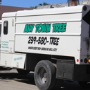 Any Town Tree - Tree Service