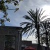 Peet's Coffee & Tea gallery