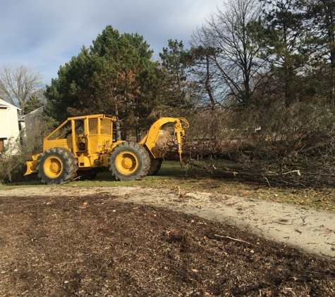 Kivisto Tree Service LLC - Brighton, MI