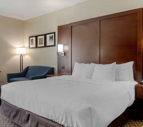 Comfort Inn & Suites Near Six Flags & Medical Center - San Antonio, TX