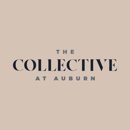 The Collective at Auburn Student Apartments - Apartments