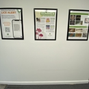 Lice Clinics of America - West Los Angeles - Medical Clinics