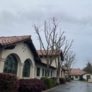 Jack Benignos Tree Service Inc - Tree Service