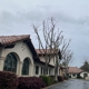 Jack Benignos Tree Service Inc