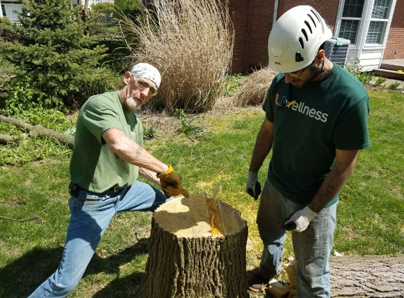 Hansen's Tree Service & Landscaping - Rossford, OH