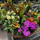 Brumley Gardens & Landscape