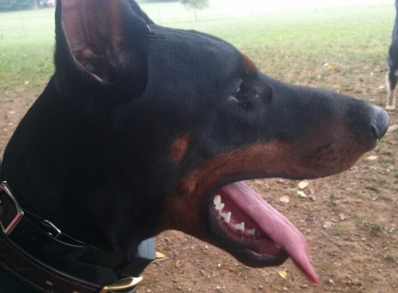 Overlook Dog Park - Lancaster, PA