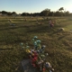 Royal Palm Cemetery