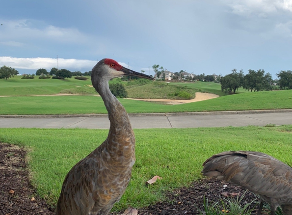 Reunion Resort - Reunion, FL