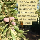 Queen Creek Olive Mill