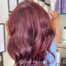 FS Cut & Color (Riverview, FL) - Hair Removal