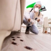 Murfreesboro Pro Pest Service gallery
