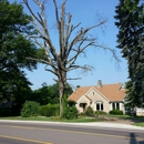 AMER TREE XPERTS  & LNDSCPNG - Tree Service