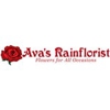 Ava's Rainflorist gallery