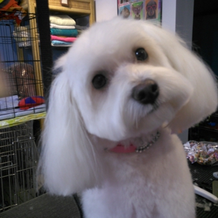 Doggie Paws Salon - Lake Worth Beach, FL