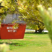 Gallery Image Number 3