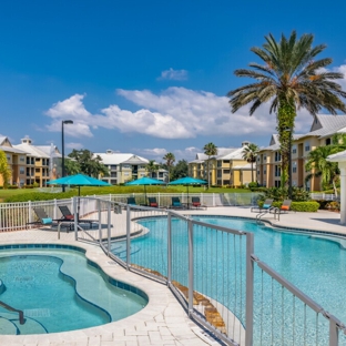 Marigot Bay Apartments - Sarasota, FL