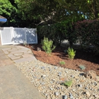 American Arbor Tree Care