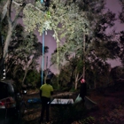 Dylan's Tree Service and Landscaping