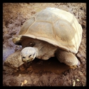 America's Teaching Zoo at Moorpark College - Zoos