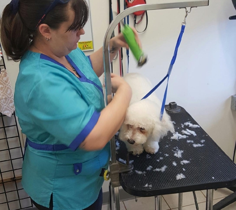 The Pet Spa - East Hartford, CT
