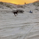 Wild Horse Adventure Tours - Tourist Information & Attractions