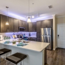 The Oasis at 301 Luxury Apartment Homes - Apartments