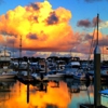 Isle of Palms Marina gallery