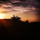 Tortuga Beach Club Resort - Resorts