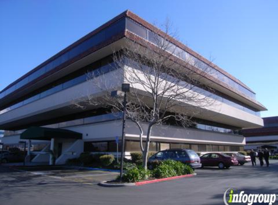 Blue Pearl Software Inc. - Santa Clara, CA