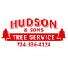 Hudson Tree Service gallery
