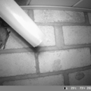 Conscious Critter Removal - Pest Control Services
