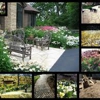 Tropical Landscaping gallery