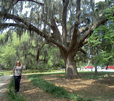 Coastal Discovery Museum - Hilton Head Island, SC