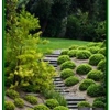 Prescott Landscaping gallery