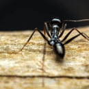 Hyde's Termite & Pest Control Inc. - Pest Control Equipment & Supplies