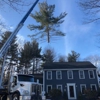 JSP Tree Solutions gallery
