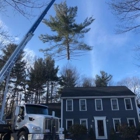 JSP Tree Solutions
