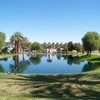 Oasis Palms R V Park gallery