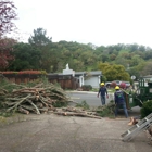 JC Tree Care & Landscape