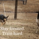 Promise Pastures Herding and Training Facility