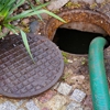 Electric EEL Sewer & Drain Cleaning