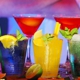 Arizona Bartending Solutions