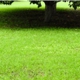 Forever Green Lawn & Landscaping