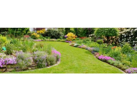 Wayne's Garden & Lawn Mowing Maintenance - Mermaid Waters, QLD