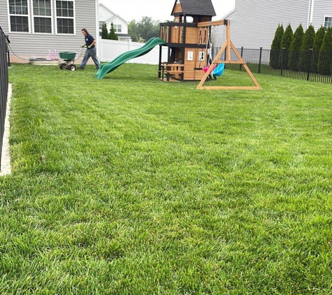 Brockman Tree & Lawn Care - Fairport, NY