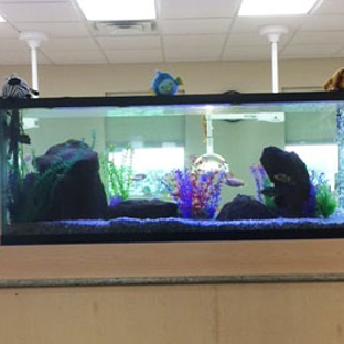 Westover Hills Pediatric Dentistry - San Antonio, TX. Our biggest fish tank with fresh water fishes