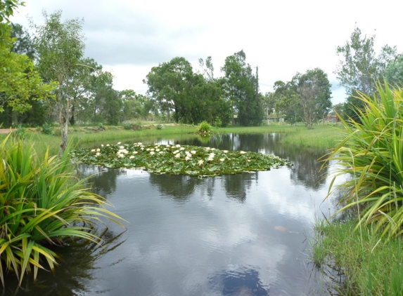 Harcourts Ignite Childers | Woodgate - Childers, QLD