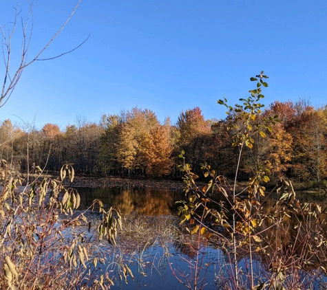 Reinstein Woods Nature Preserve - Depew, NY